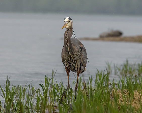 _DSC6305-Edit