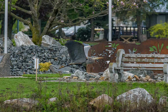 _DSC5884