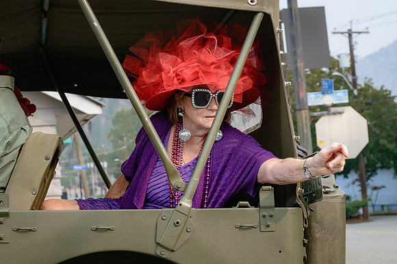 _Z8D8334