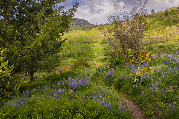 _DSC1252