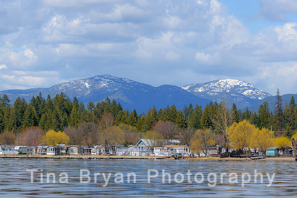 _DSC3692