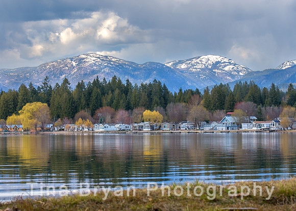 _DSC3803