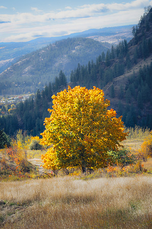 _Z8D6328-Edit