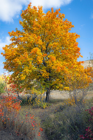 _Z8D6324-Edit