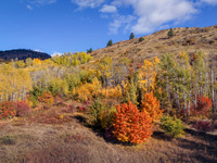 DJI_20251013151226_0038_D
