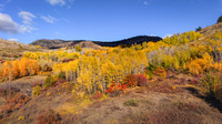 DJI_20251013151239_0039_D