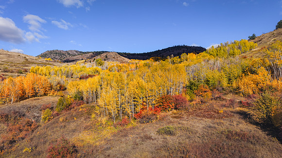 DJI_20251013151239_0039_D