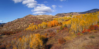DJI_20251013151252_0040_D-Pano