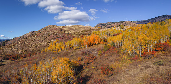 DJI_20251013151252_0040_D-Pano