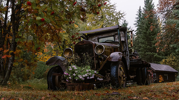 _Z8D6764-Edit