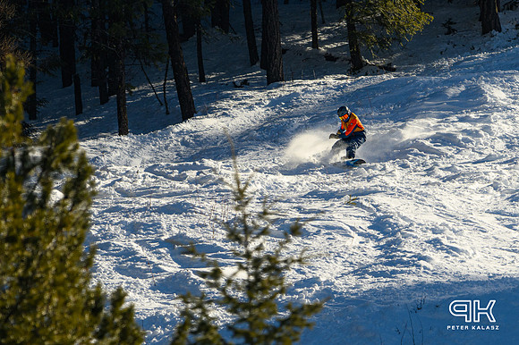 240217 _Z8D8137