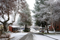 2025-12-11 TOTA / Closed