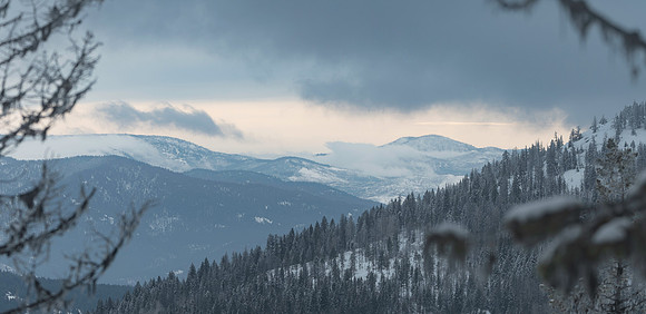 _5009478-Pano
