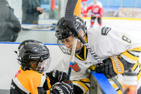 _DSC4462 - 200117