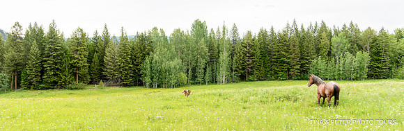 _DSC0409