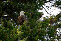 _DSC1125