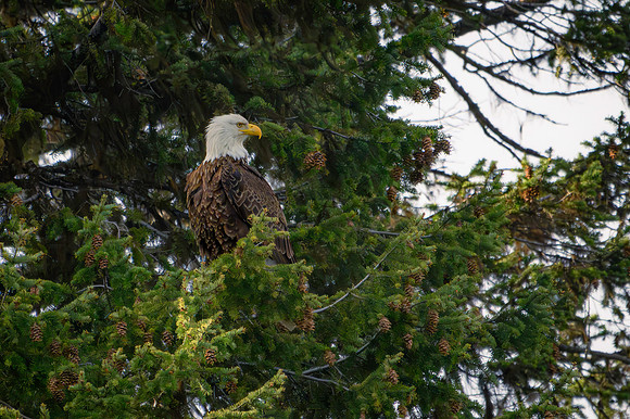 _DSC1125