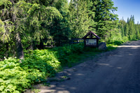 DSC_3481