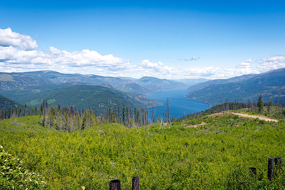 DSC_3773