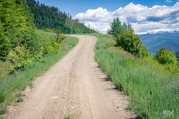DSC_3678