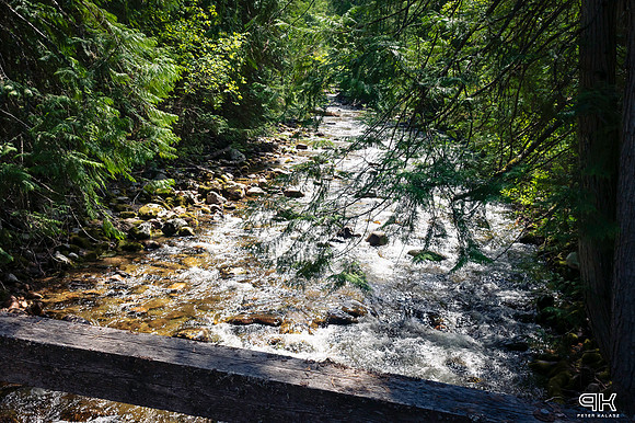 DSC_4115