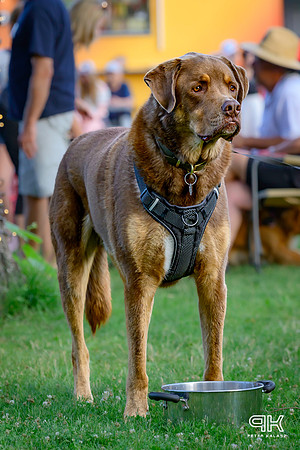 DSC_9882