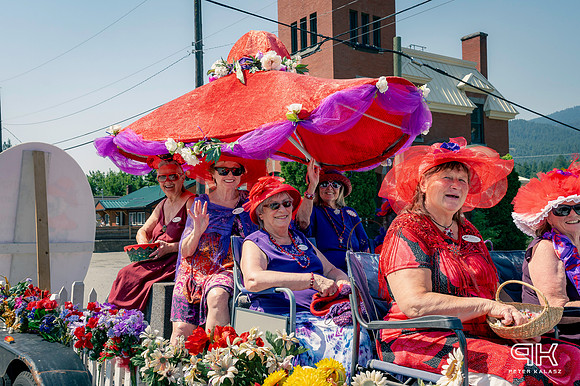_DSC2539