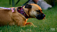_DSC7328