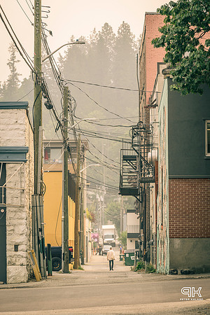 _DSC2486