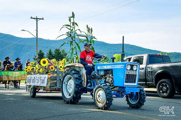 _DSC1979