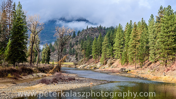 _DSC0701