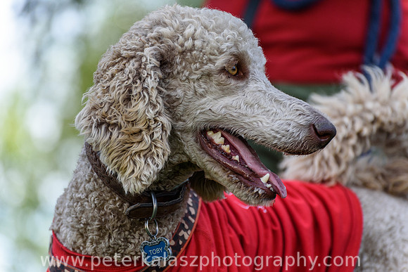 _DSC7765