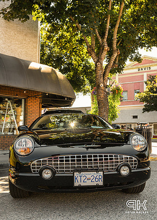 230708 _Z8D1264-Edit