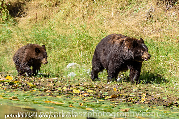 _DSC1145