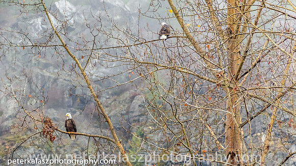 _DSC0863