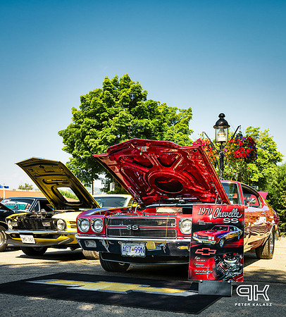 230708 _Z8D1230-Edit-Edit