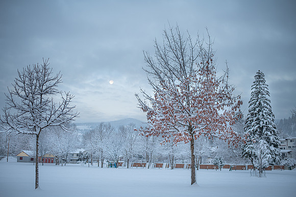 _DSC8196 20201231