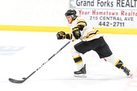 01-29 Border Bruins - Fernie 5-4 OPEN for EVERYONE