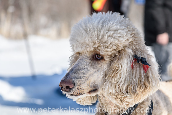 _DSC0032