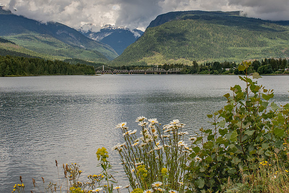 _DSC0719