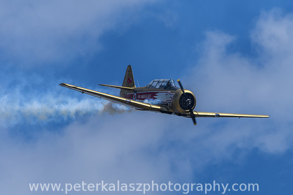 _DSC3162