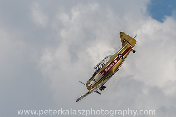 _DSC3200