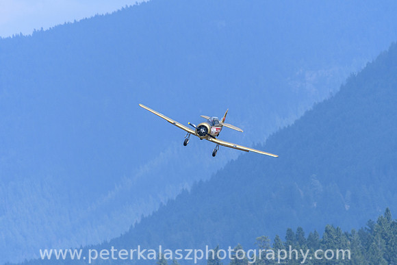 _DSC3230