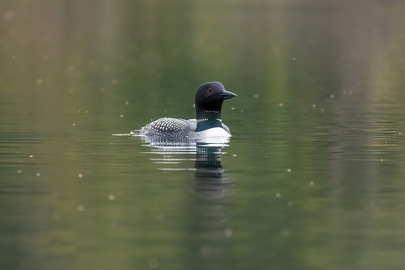 20210514-_DSC0577-Edit