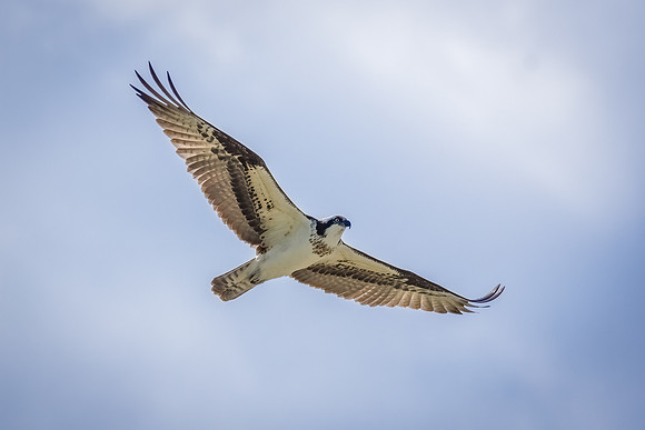 _DSC0191-Edit