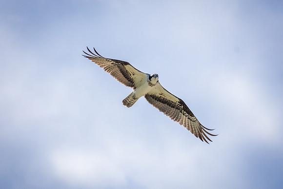 _DSC0190-Edit