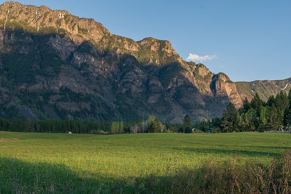 _DSC8355