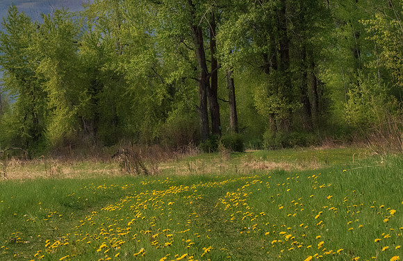 _DSC9790