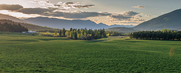 _DSC8363
