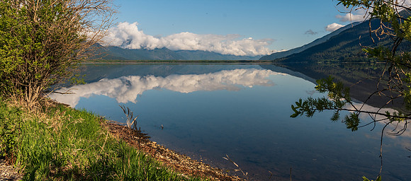 _DSC8265